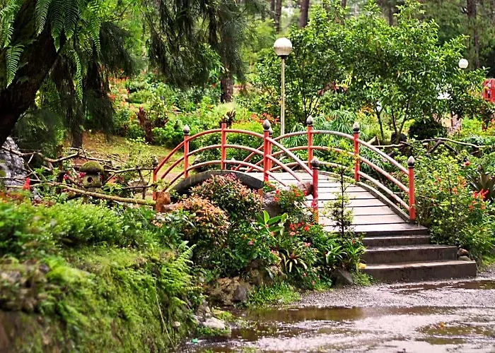 Baguio Staycation For You!